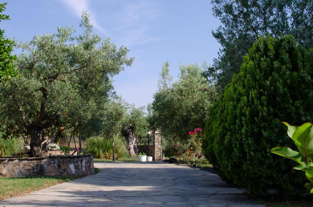 Makis House Hotel Nikiti  Exterior photo